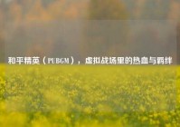 和平精英（PUBGM），虚拟战场里的热血与羁绊