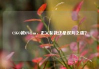 CSGO被OWBan，正义制裁还是误判之痛？