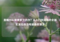 直播PUBG需要多少内存？从入门到流畅的全面配置指南及电脑最低要求
