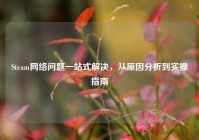 Steam网络问题一站式解决，从原因分析到实操指南