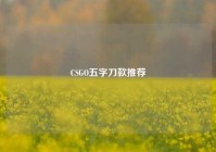 CSGO五字刀款推荐