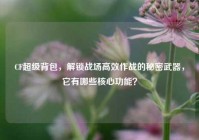 CF超级背包，解锁战场高效作战的秘密武器，它有哪些核心功能？