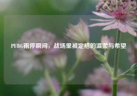 PUBG雨停瞬间，战场里被定格的温柔与希望
