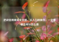 逆战信用查询全攻略，从入口到操作，一文看懂信用分怎么查