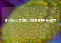 坏小孩Steam免费版，叛逆外壳下的成长密码