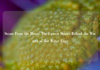 Steam From the Heart: The Unseen Stories Behind the Warmth of Hot Water Cups