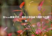 在Steam触摸天空，那些让你自由飞翔的飞行游戏