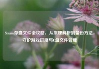 Steam存盘文件全攻略，从原理解析到备份方法，守护游戏进度与C盘文件管理