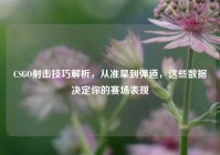 CSGO射击技巧解析，从准星到弹道，这些数据决定你的赛场表现