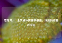 看球网24，全天候体育赛事枢纽，球迷的观赛百宝箱
