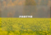 沙场锋芒毕露