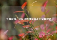 王者荣耀，团队协作才是真正的荣耀底色