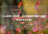 PUBG铭牌上的奖牌，刻在像素里的热血与荣耀，它到底有什么用？