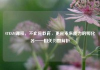 STEAM课程，不止是教育，更是未来能力的孵化器——相关问题解析