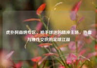 虎扑阿森纳专区，枪手球迷的精神主场，热血与理性交织的足球江湖