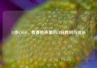 13岁CSGO，青春枪声里的13分胜利与成长