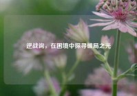逆战询，在困境中探寻破局之光