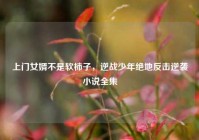 上门女婿不是软柿子，逆战少年绝地反击逆袭小说全集