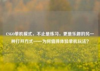 CSGO单机模式，不止是练习，更是乐趣的另一种打开方式——为何值得体验单机玩法？