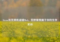 Steam饥荒单机滤镜Mod，荒野里独属于你的生存史诗
