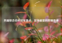 历届联合会杯冠军盘点，足球盛宴的荣耀传承