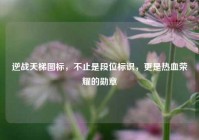 逆战天梯图标，不止是段位标识，更是热血荣耀的勋章