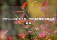 逆战2020-2021冠军之路，热血铸就巅峰 荣耀永不褪色