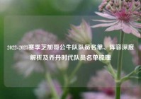 2022-2023赛季芝加哥公牛队队员名单、阵容深度解析及乔丹时代队员名单梳理