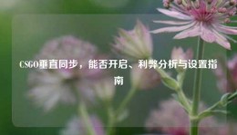 CSGO垂直同步，能否开启、利弊分析与设置指南