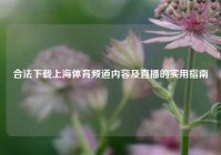 合法下载上海体育频道内容及直播的实用指南