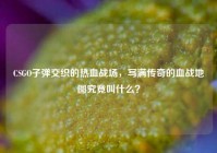 CSGO子弹交织的热血战场，写满传奇的血战地图究竟叫什么？