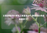 王者荣耀战队等级上限是多少？满级战队养成需要多久？