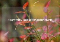 CSGO小仓库，藏着竞技热血的方寸战场
