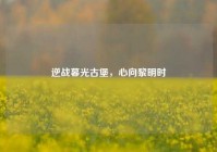 逆战暮光古堡，心向黎明时