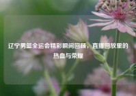 辽宁男篮全运会精彩瞬间回顾，直播回放里的热血与荣耀
