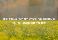 PUBG卡顿延迟怎么办？5个实用方案帮你畅玩吃鸡，附一亩桃树桃胶产量解答