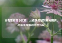 王者荣耀宫本武藏，从皮肤图鉴到高光瞬间，高清图片解锁剑圣传奇