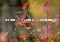 PUBG单排，一个人的战场，一场自我的修行