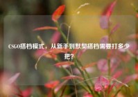 CSGO搭档模式，从新手到默契搭档需要打多少把？