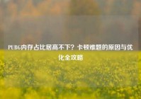 PUBG内存占比居高不下？卡顿难题的原因与优化全攻略