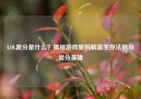 LOL混分是什么？揭秘游戏里的躺赢生存法则与混分英雄
