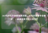 2024马尔代夫最新预算攻略，从平价到奢华全解析，一趟要花多少钱人民币？