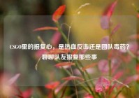 CSGO里的报复心，是热血反击还是团队毒药？聊聊队友报复那些事