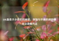 LOL血条大小背后的秘密，体验与平衡的微妙博弈及调整方法