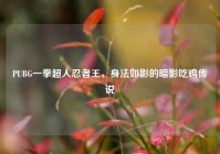 PUBG一拳超人忍者王，身法如影的暗影吃鸡传说
