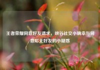 王者荣耀同意好友请求，峡谷社交小确幸与同意后无好友的小疑惑