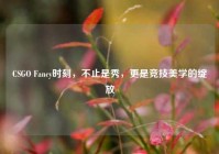 CSGO Fancy时刻，不止是秀，更是竞技美学的绽放