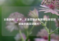 王者别闹！之外，王者荣耀还有哪些让你笑到掉星的搞笑动画片？