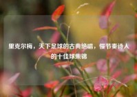 里克尔梅，天下足球的古典绝唱，慢节奏诗人的十佳球集锦