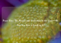 Peace Elite: The Passion and Tenderness in the Game—Do You Also Have a Crush on It?